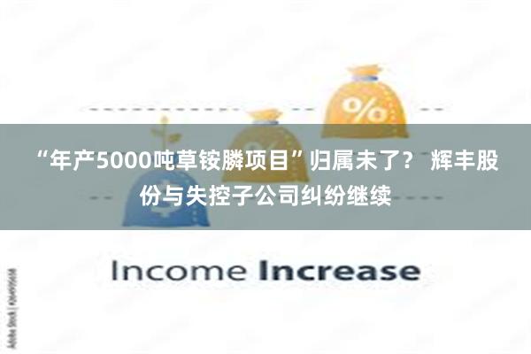 “年产5000吨草铵膦项目”归属未了？ 辉丰股份与失控子公司纠纷继续