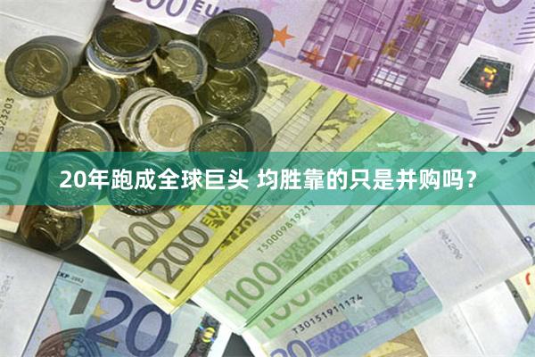 20年跑成全球巨头 均胜靠的只是并购吗?