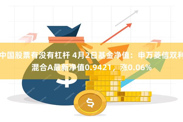 中国股票有没有杠杆 4月2日基金净值：申万菱信双利混合A最新净值0.9421，涨0.06%
