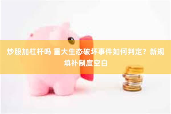 炒股加杠杆吗 重大生态破坏事件如何判定？新规填补制度空白