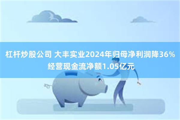 杠杆炒股公司 大丰实业2024年归母净利润降36% 经营现金流净额1.05亿元