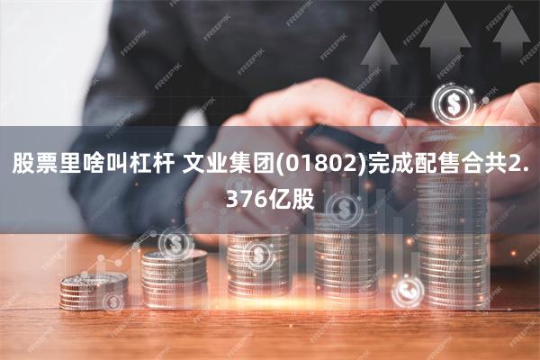 股票里啥叫杠杆 文业集团(01802)完成配售合共2.376亿股