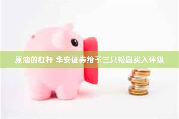 原油的杠杆 华安证券给予三只松鼠买入评级