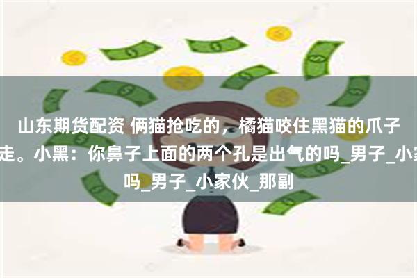 山东期货配资 俩猫抢吃的，橘猫咬住黑猫的爪子把黑猫拖走。小黑：你鼻子上面的两个孔是出气的吗_男子_小家伙_那副