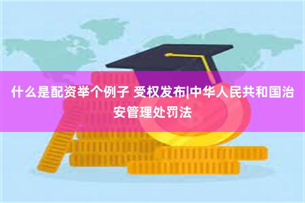 什么是配资举个例子 受权发布|中华人民共和国治安管理处罚法