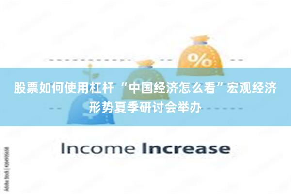 股票如何使用杠杆 “中国经济怎么看”宏观经济形势夏季研讨会举办