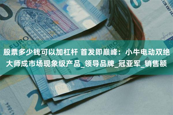 股票多少钱可以加杠杆 首发即巅峰：小牛电动双绝大师成市场现象级产品_领导品牌_冠亚军_销售额