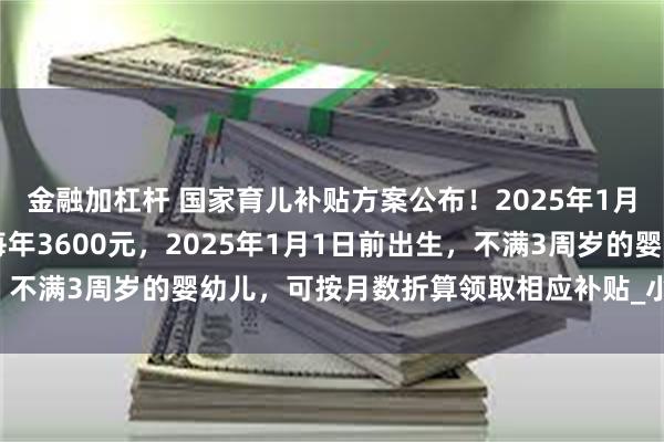 金融加杠杆 国家育儿补贴方案公布！2025年1月1日起，3周岁前每娃每年3600元，2025年1月1日前出生，不满3周岁的婴幼儿，可按月数折算领取相应补贴_小娃_丁一_户籍